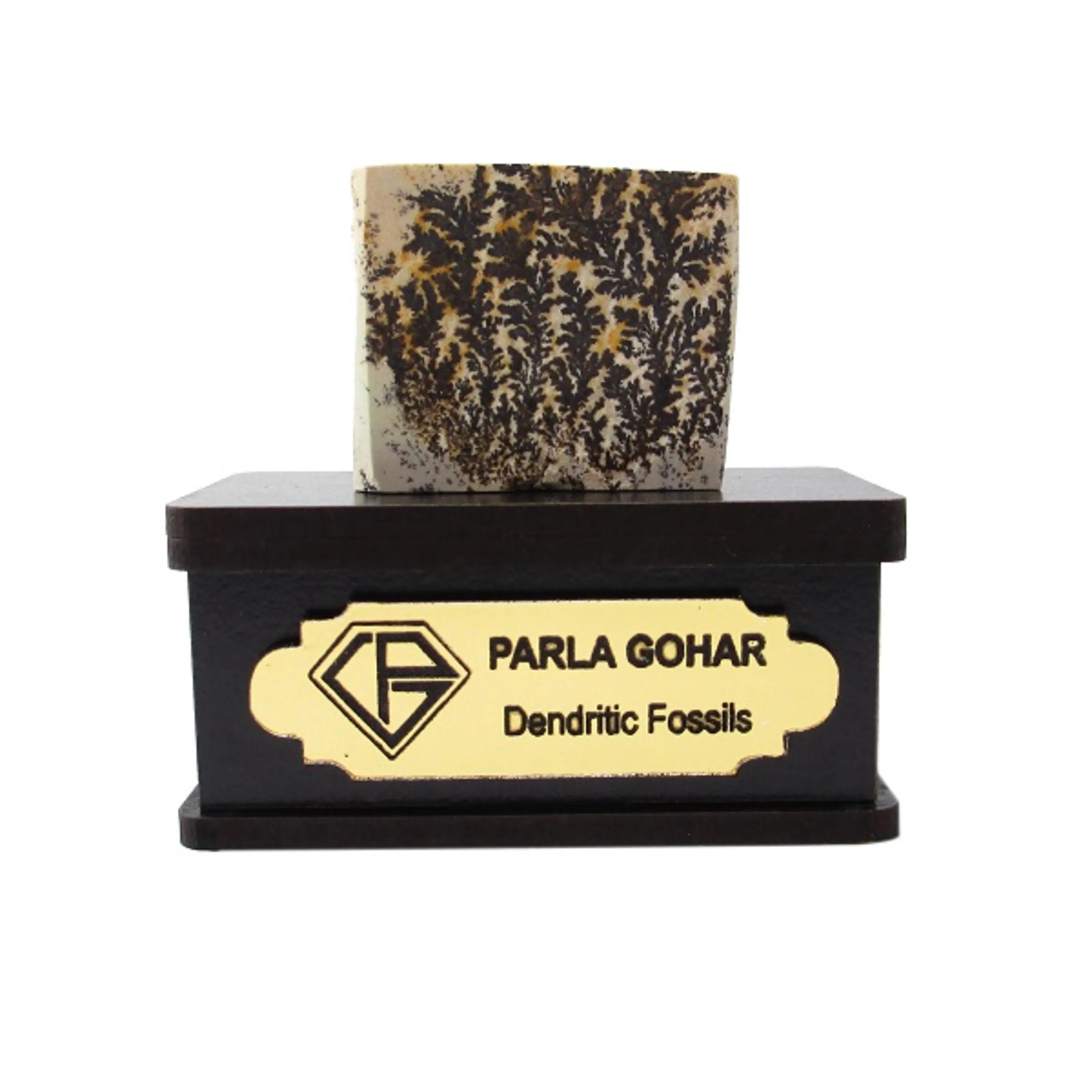 سنگ شجر فسیلی (دندریتی ) کد 2192